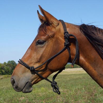 Halter Horsemanship Rope Cob/Pony
