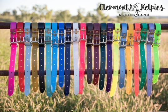 Dog Collar PVC LGE 32mmW 55cmL Clermont Kelpies