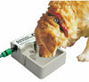 Pet Automatic Waterer 2L