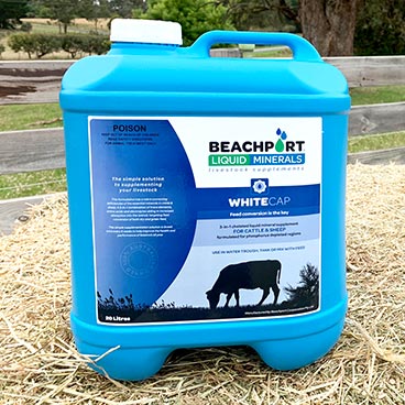 Beachport White Cap Phosphorus 20L