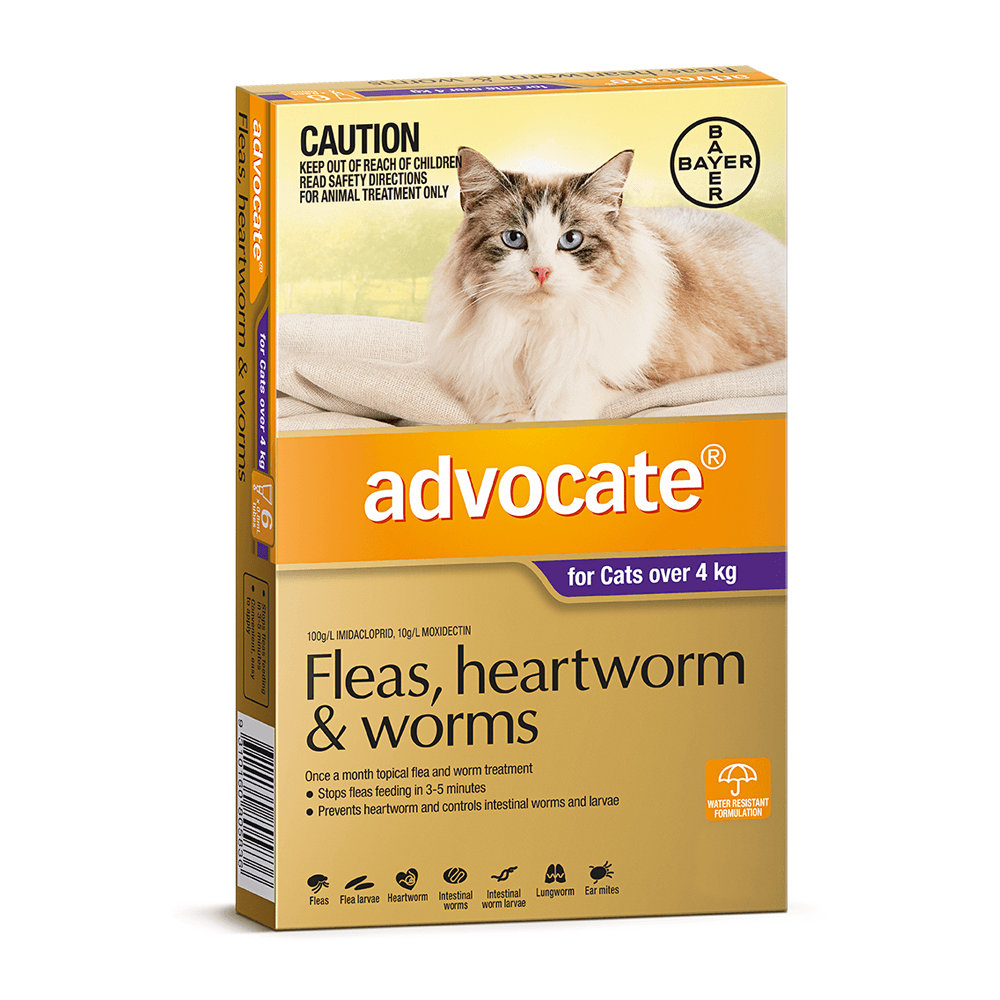 Advocate Cat Over 4kg Purple 3pk