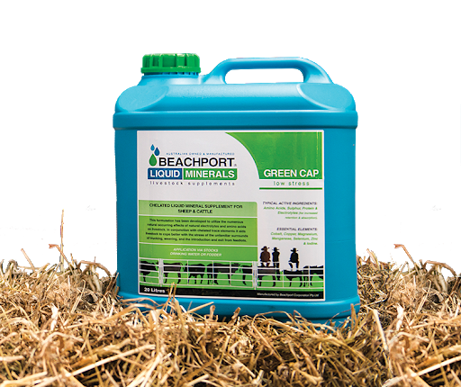 Beachport Green Cap Low Stress 20L